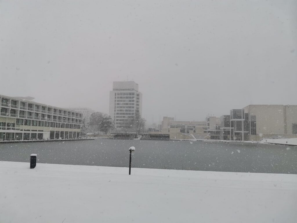 Tapiola